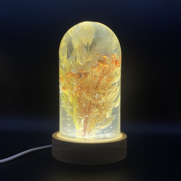 Dôme lumineux fleurs séchées aquatiques